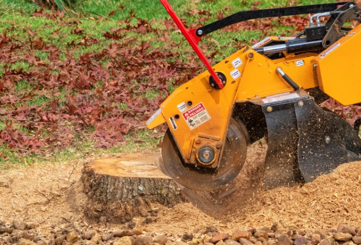 An image of Stump Grinding and Removal Services In Hammond, IN